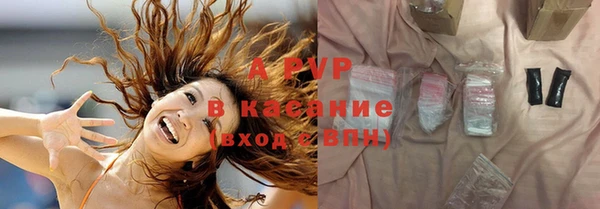 амф Вяземский