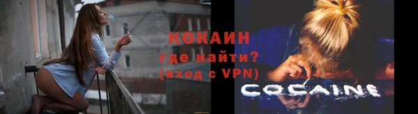 амф Вяземский