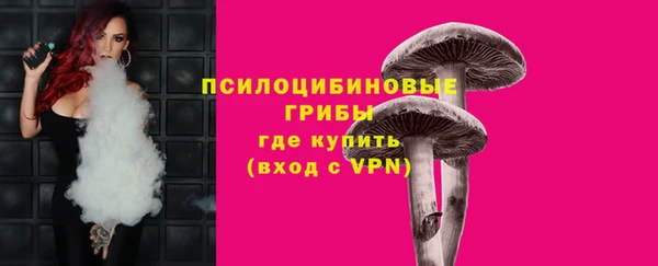 амф Вяземский