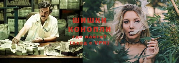 прущие грибы Тобольск