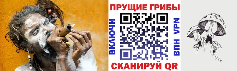 Галлюциногенные грибы Psilocybine cubensis Ершов