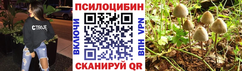 Псилоцибиновые грибы Psilocybe Ершов